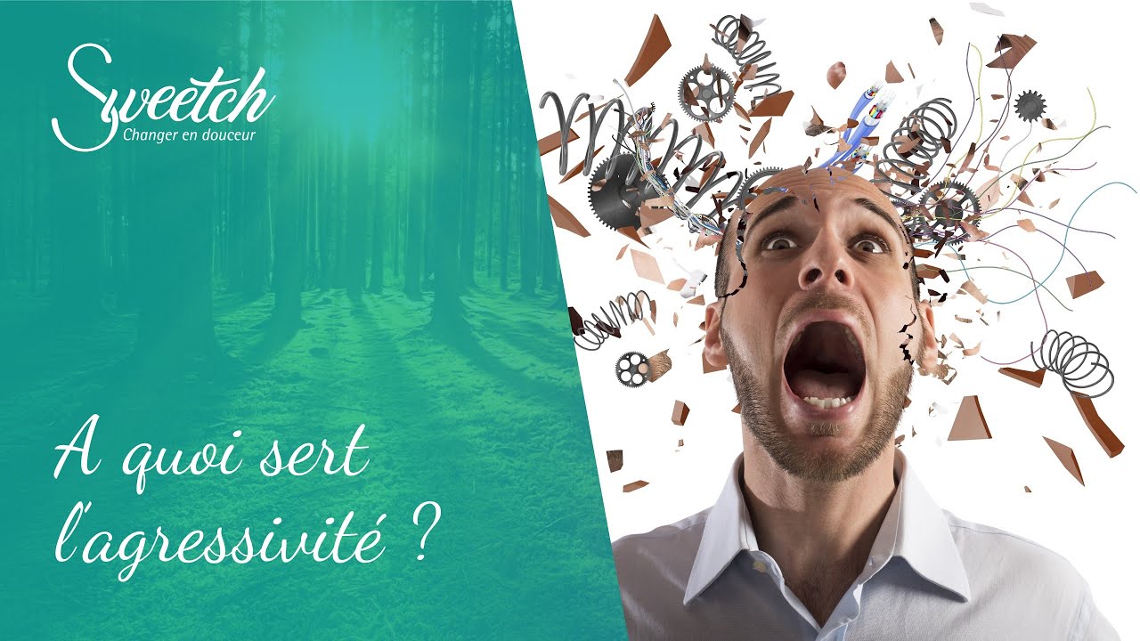 A quoi sert l'agressivit&eacute; ?