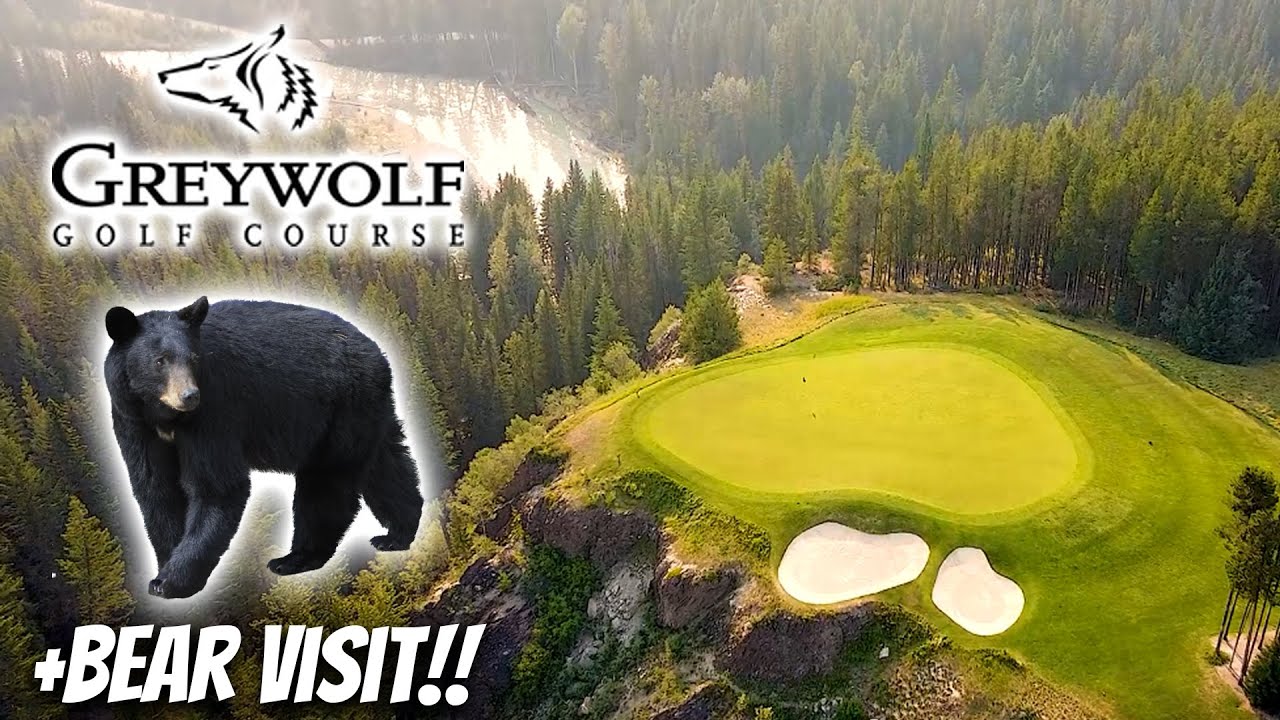 I Golfed GREYWOLF Golf Course | British Columbia