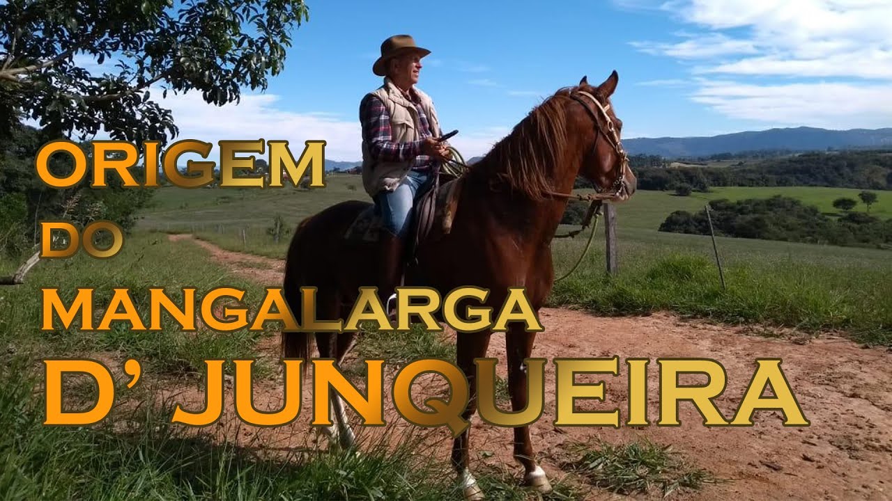 Origem do Cavalo Mangalarga D' Junqueira
