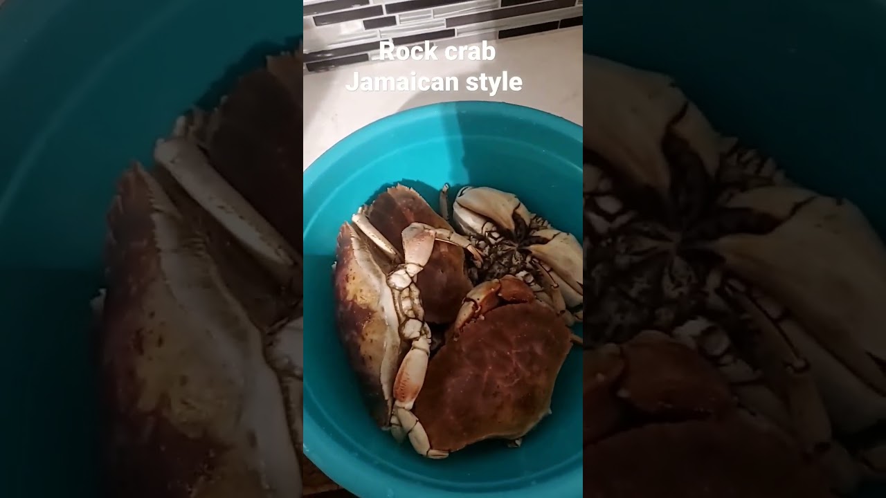 How to cook rock crab Jamaican style 😋 #shorts #crab #seafood #jamaicanfood #foodlover  #jamaican