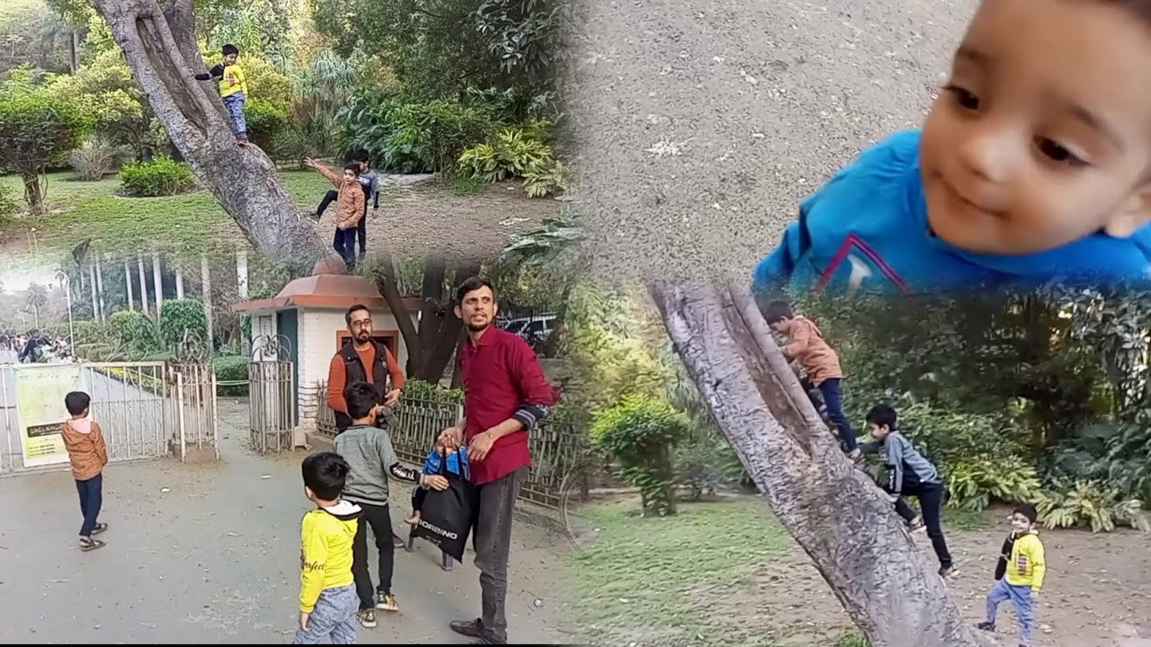 Family Day Out in Jinnah Park Lahore || Pak Family Vlog |