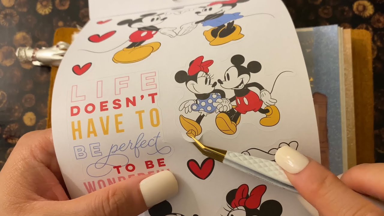 Disney theme | Journal with me