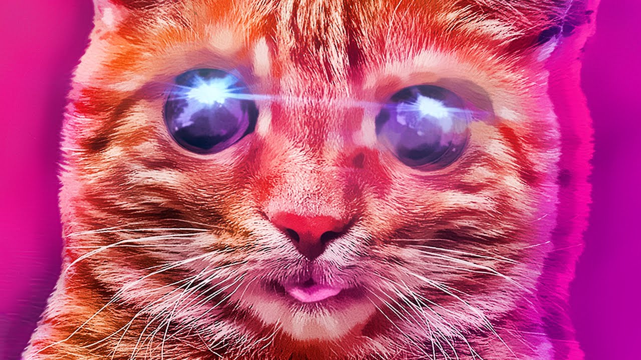 PUSS! - СЛОЖНАЯ ИГРА ПРО КОТИКА - БЕРЕГИТЕ СВОИ ГЛАЗКИ - Полное прохождение
