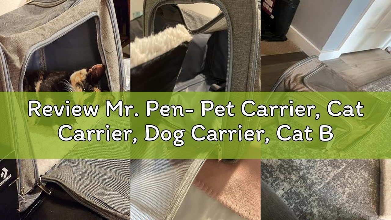 Review Mr. Pen- Pet Carrier, Cat Carrier, Dog Carrier, Cat Bag Carrier, Cat Travel Carrier, Soft Cat