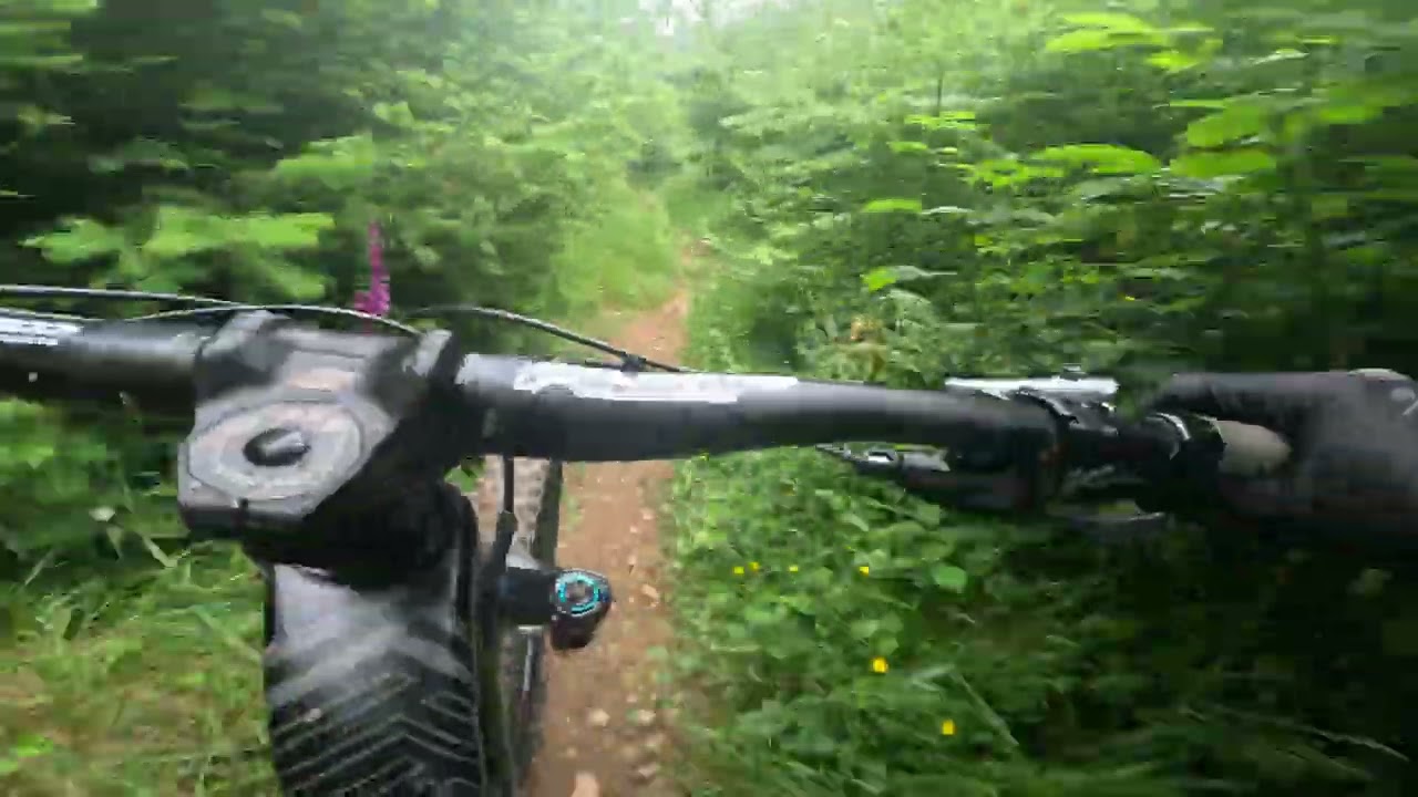 Cwm Carn - June 2024