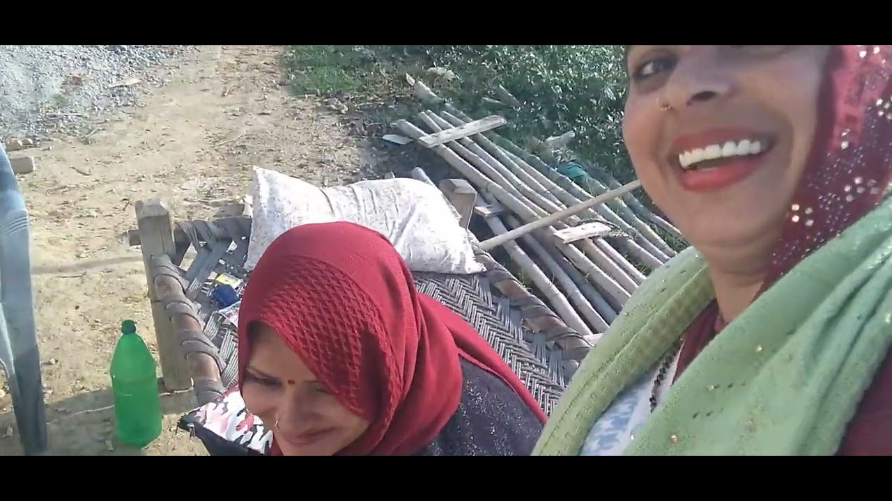 प्रभा दीदी ने खेत से मूली उखाड़ी #@#@SomeshBrijwasi 