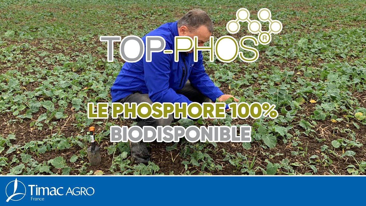 TOP PHOS - Phosphore complexé biodisponible