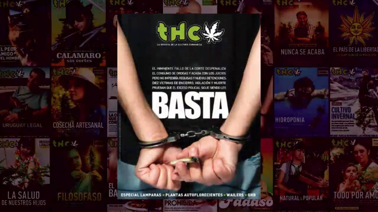 Entrevista a Sebasti&aacute;n Basalo, director de la revista THC