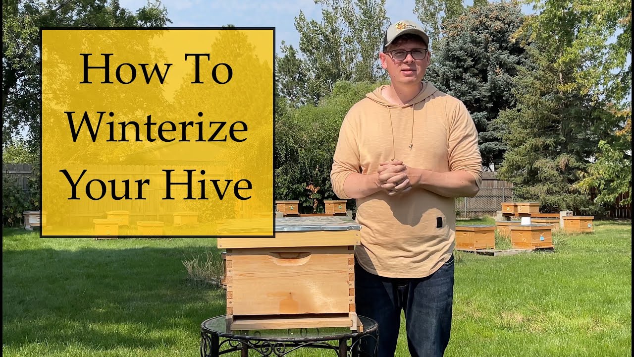 Episode 19: How To Winterize Your Hive