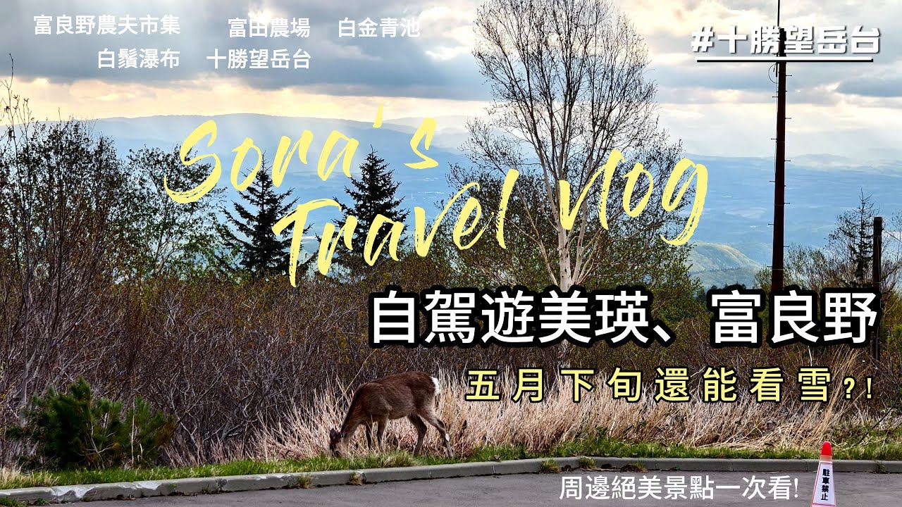 【北海道自由行】自駕遊美瑛、富良野! 5月下旬還能看雪?! 田園風光，浪漫花海，周邊絕美景點一次看! 富良野農夫市集｜富田農場｜富田哈密瓜工房｜白金青池｜白鬚瀑布｜十勝望岳台