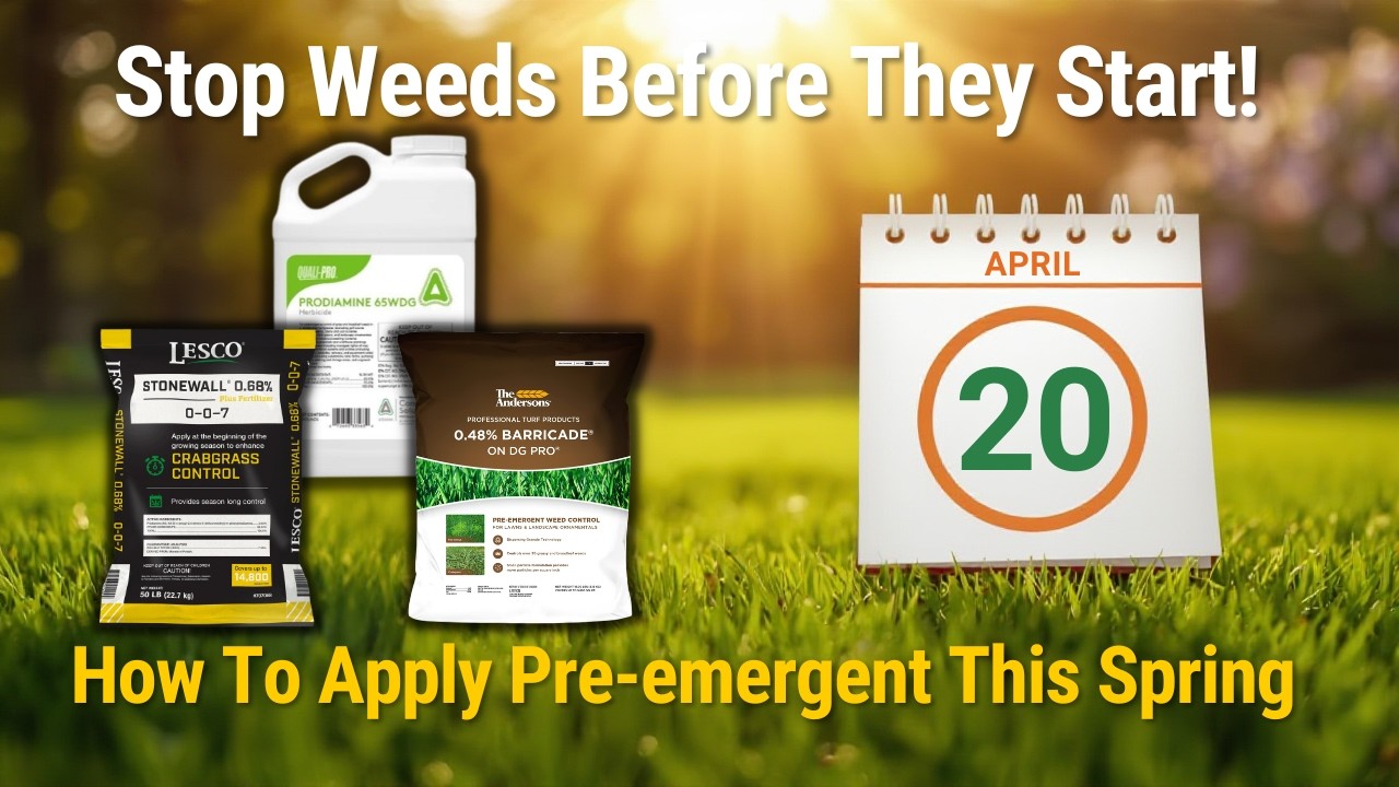 Why Most Homeowners Fail To Control Lawn Weeds EVERY Year