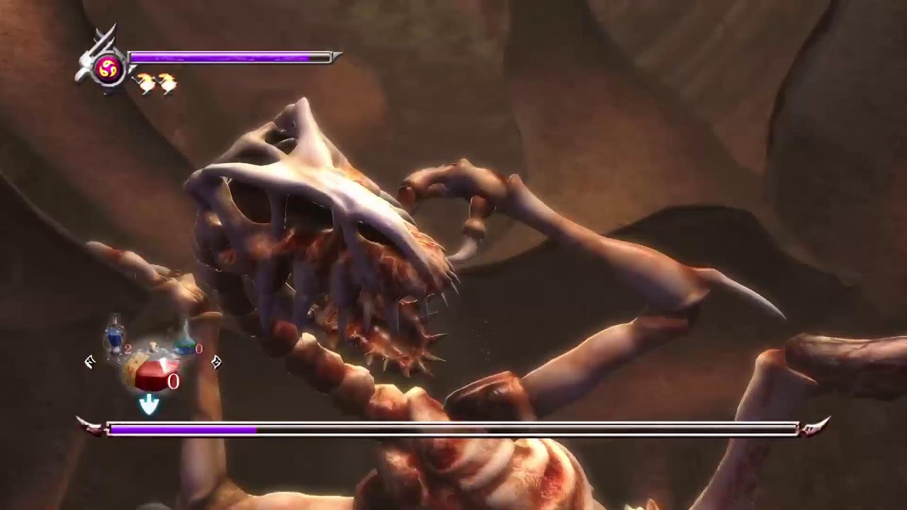 He's Like Dark Link, But Cheaper - Ninja Gaiden