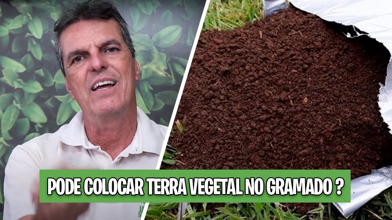 POSSO USAR TERRA VEGETAL NO GRAMADO ?