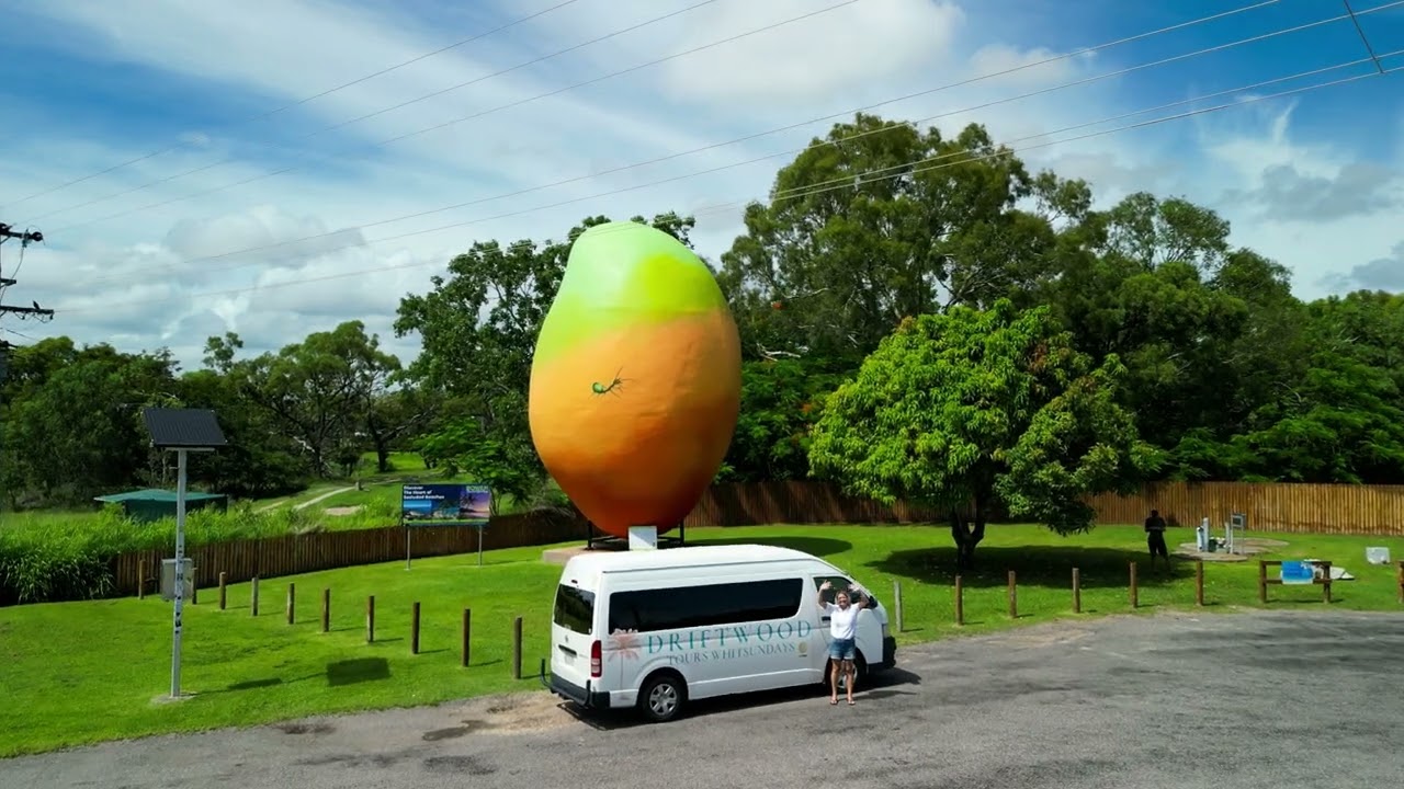 The Big Mango