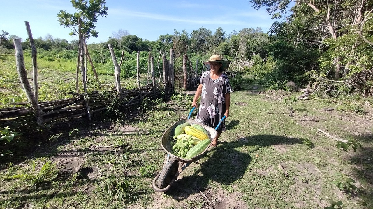 QUEM PLANTA COLHE E SÓ COLHEMOS O QUE PLANTAMOS