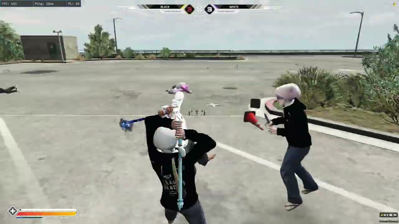 No Delay l Moggy Country