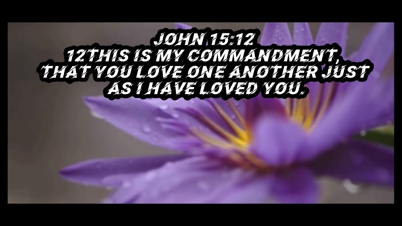 Peaceful Piano Music & Meditating Bible Verses#refresh/draw closer to God/faith/learning Gods word