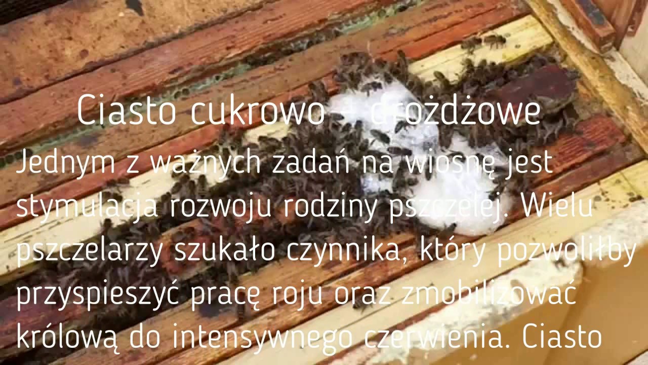 Ciasto cukrowo – drożdżowe dla pszczół