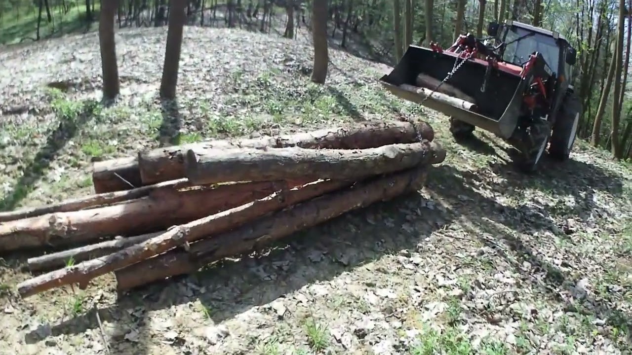 Sosna w ciasnym miejscu, jazda tyłem, mygłowanie turem  - Kubota GL32
