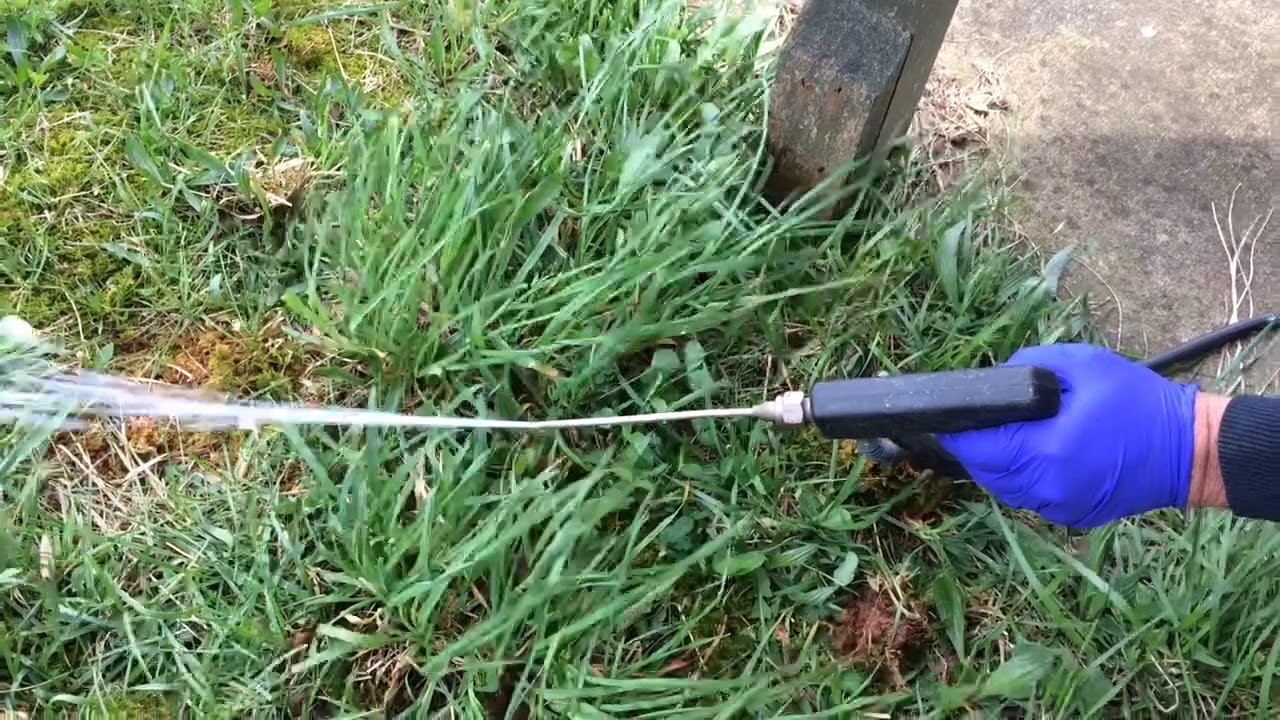 Treating For Termites In Wall Voids