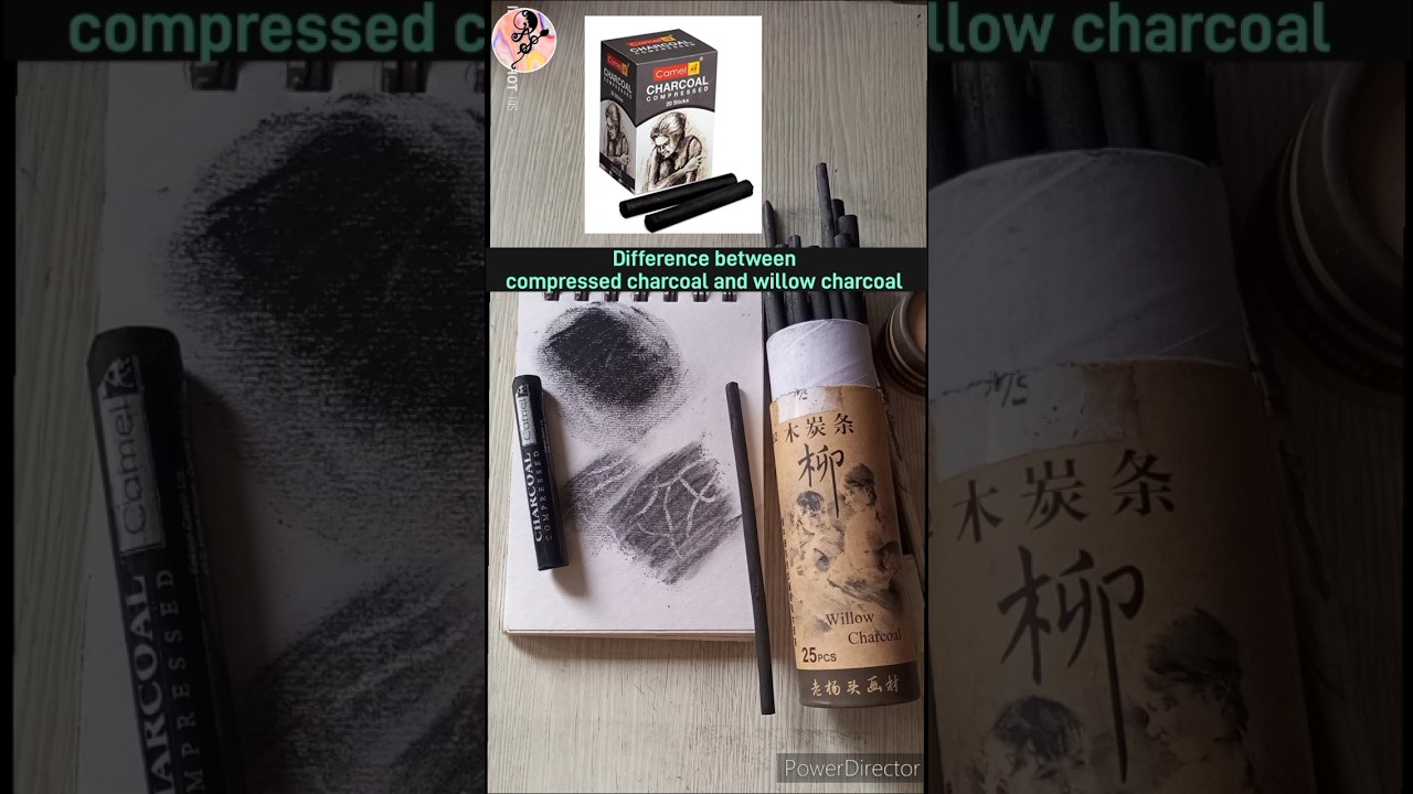 🤔What is Difference between Compressed charcoal and willow charcoal? about charcoal pencils#short