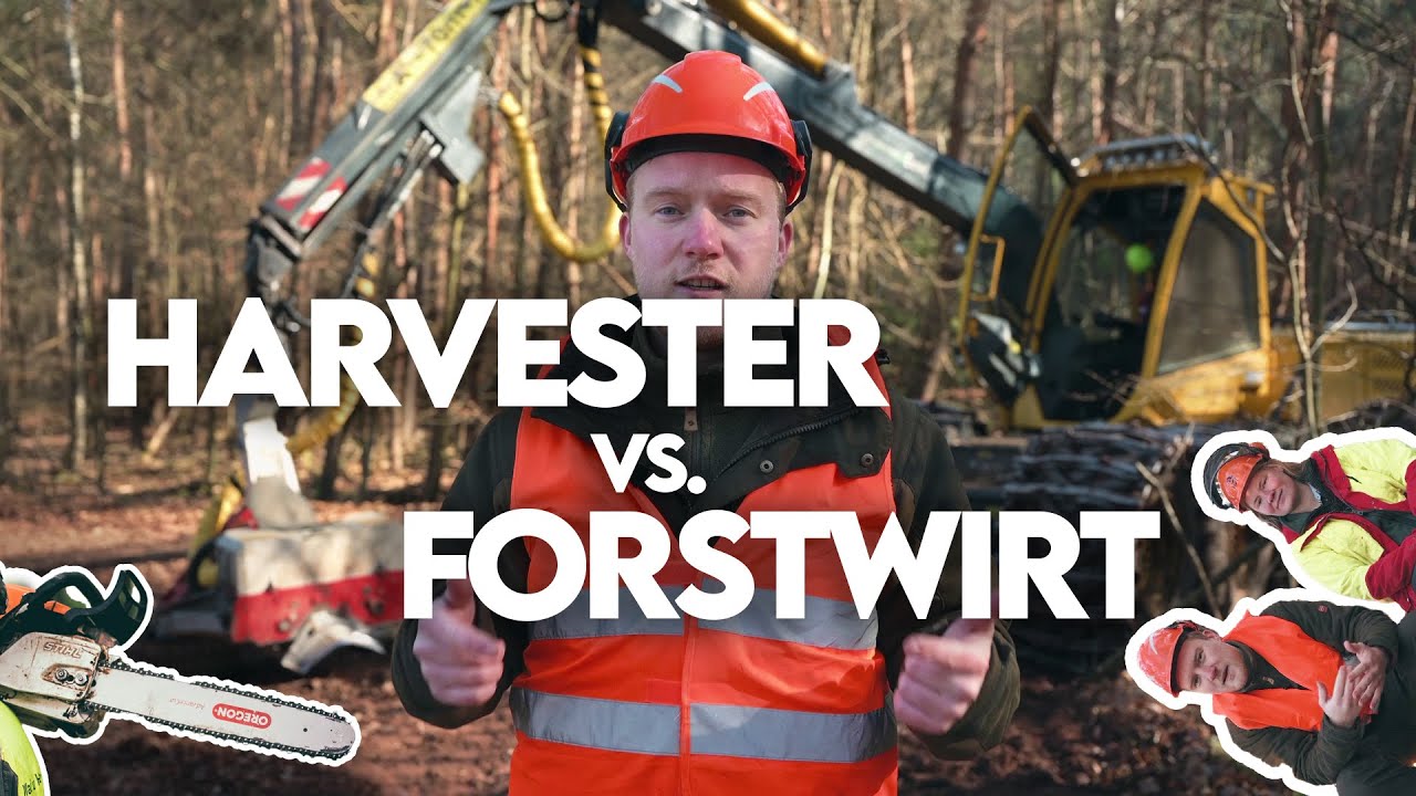 Mensch vs. Maschine! Wer ist besser: Harvester oder Forstwirte? - Forst erkl&auml;rt