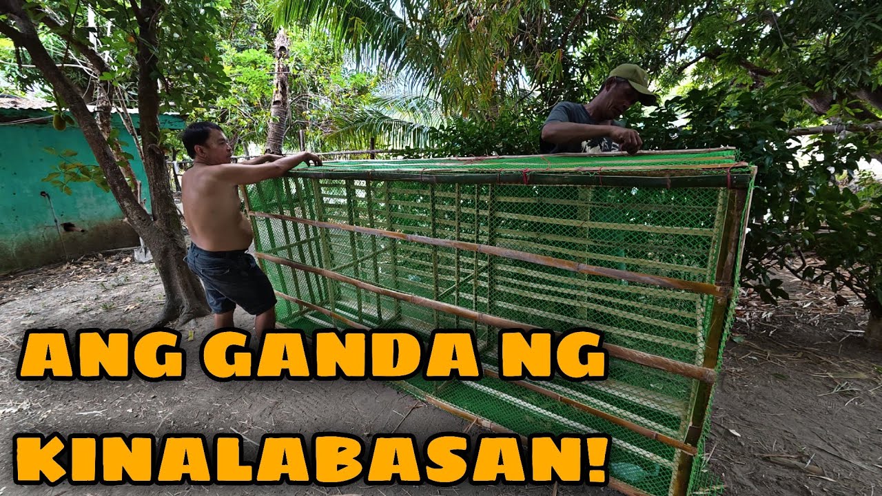 TAPOS NA! ALIMANGO NALANG ANG KULANG! MATIBAY ANG PAGKAKAGAWA! 😇