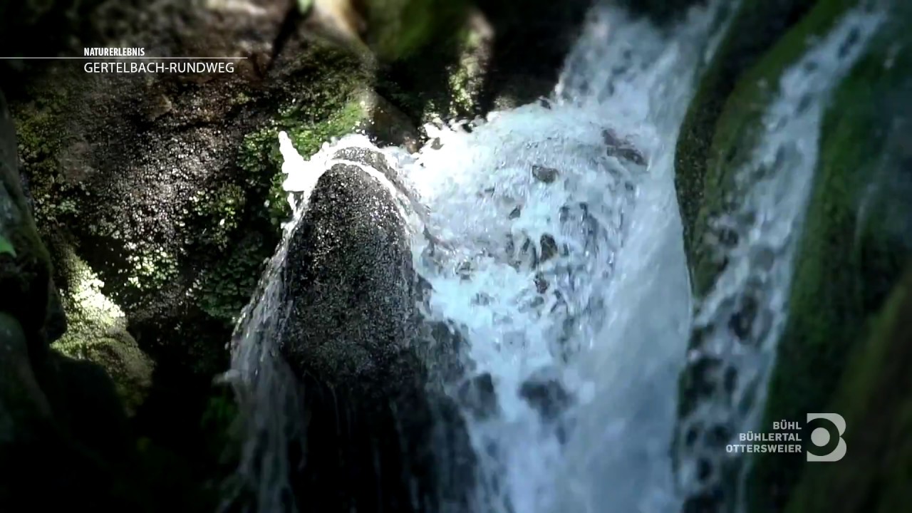 Impressionen vom Gertelbach-Rundweg