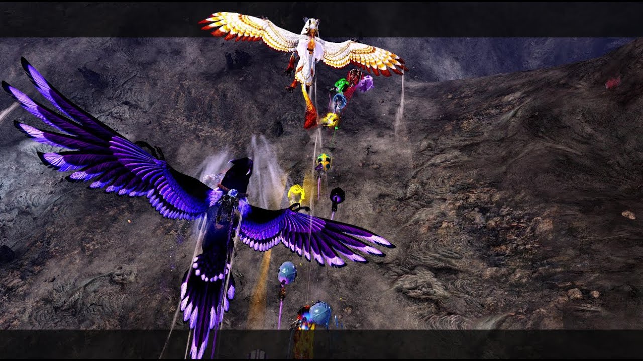 When Griffons and Beetles meet! Flying with [RACE] and [Wing]