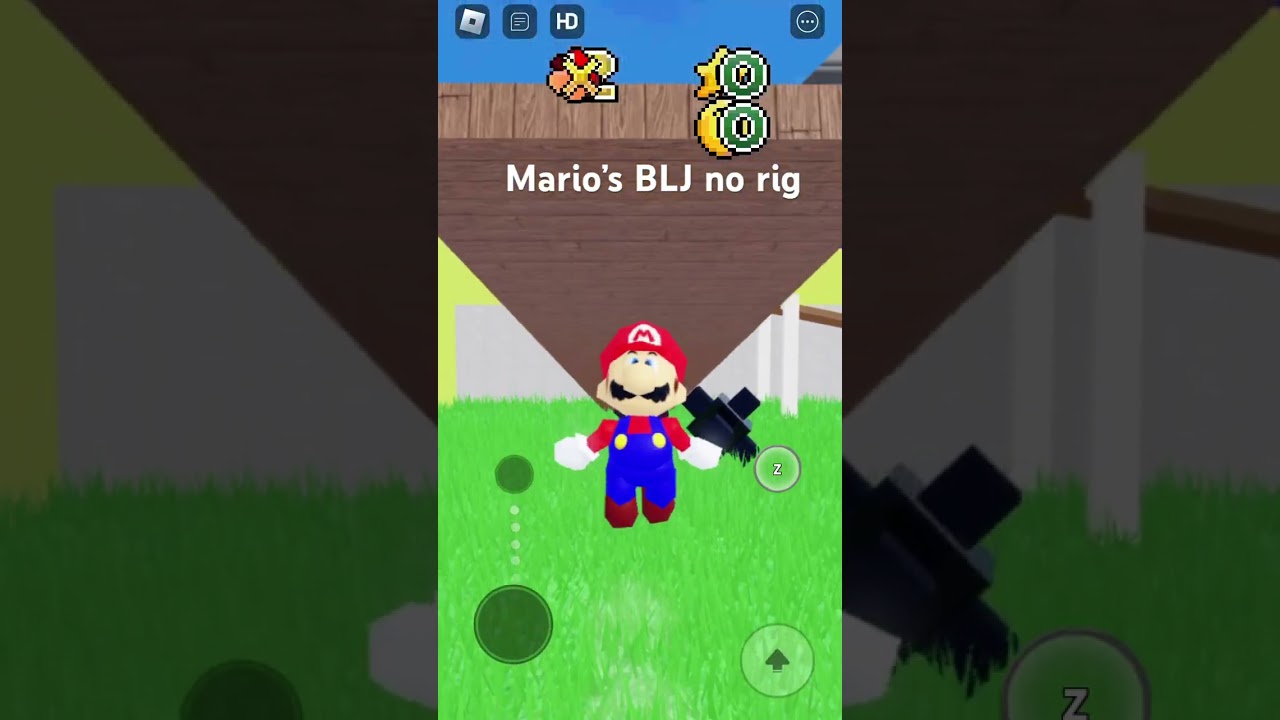 Mario&rsquo;s blj no rig
