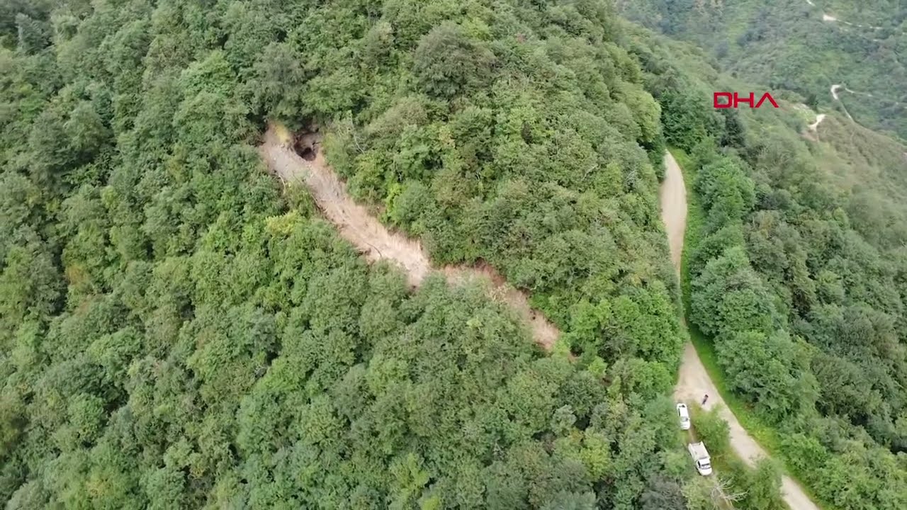 Trabzon'da define için ormana iş makinesiyle yol açtılar