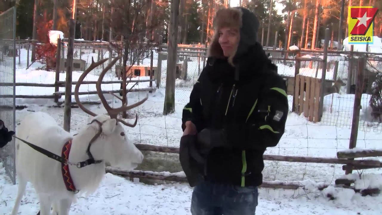Adam Lambert's boyfriend Sauli Koskinen on a husky-ride in Finland!