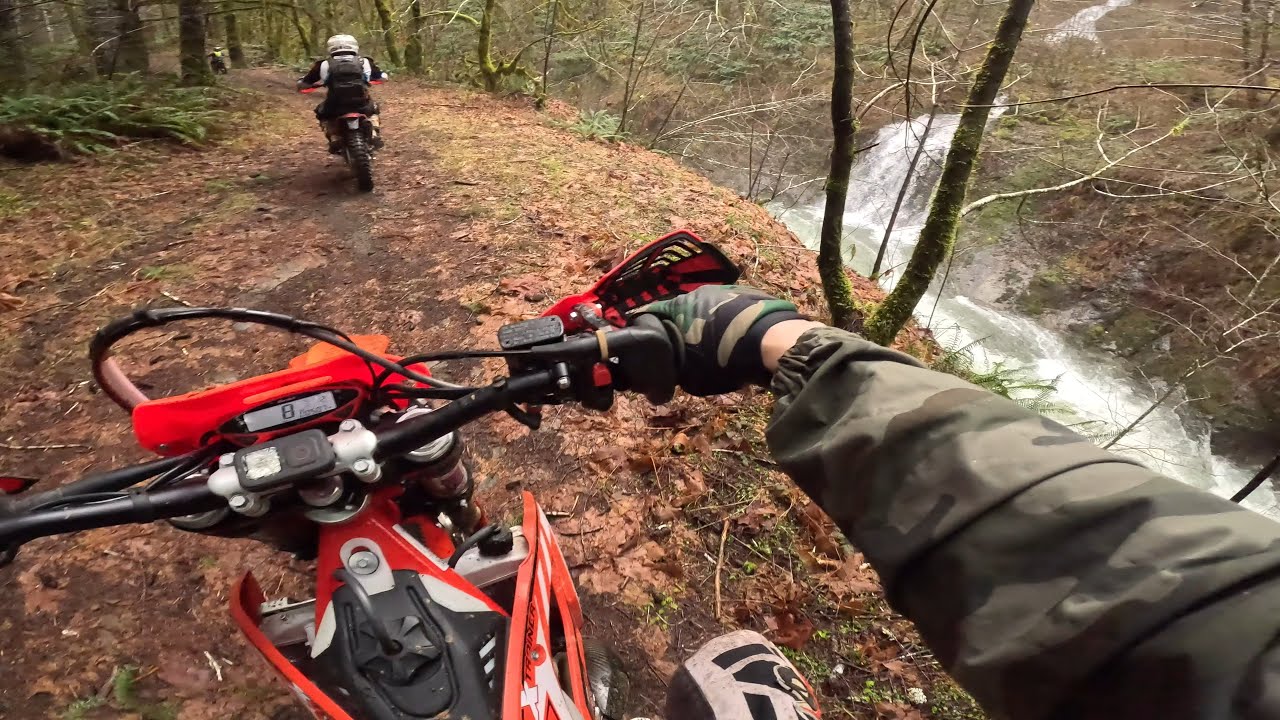 Jordan creek trail , Tillamook forest.