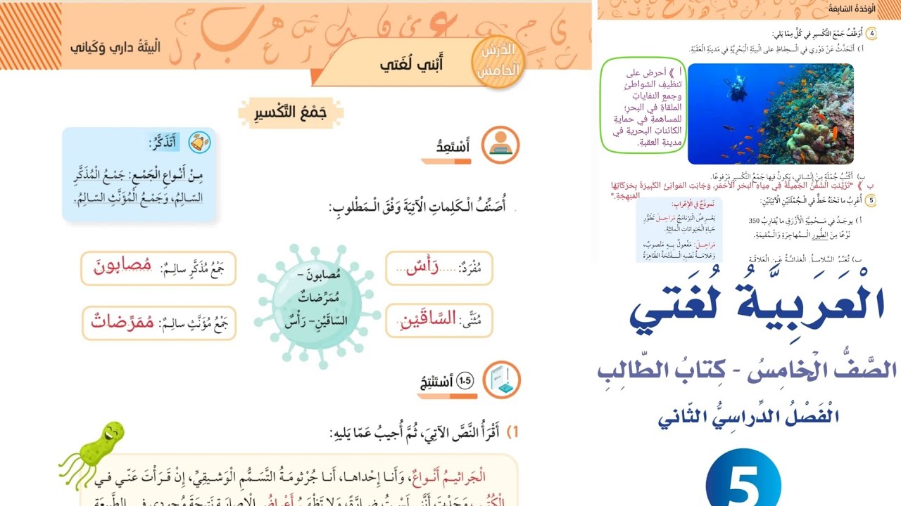 جمع التكسير صف خامس عربي صفحة 53-54-55-56 الشرح و حل الأسئلة