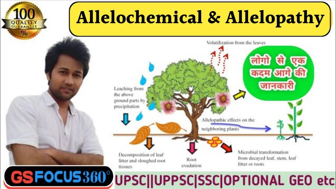 #Allelopathy and Allelochemicals  || impact of allelopathy || type of allelochemical #gsfocus360