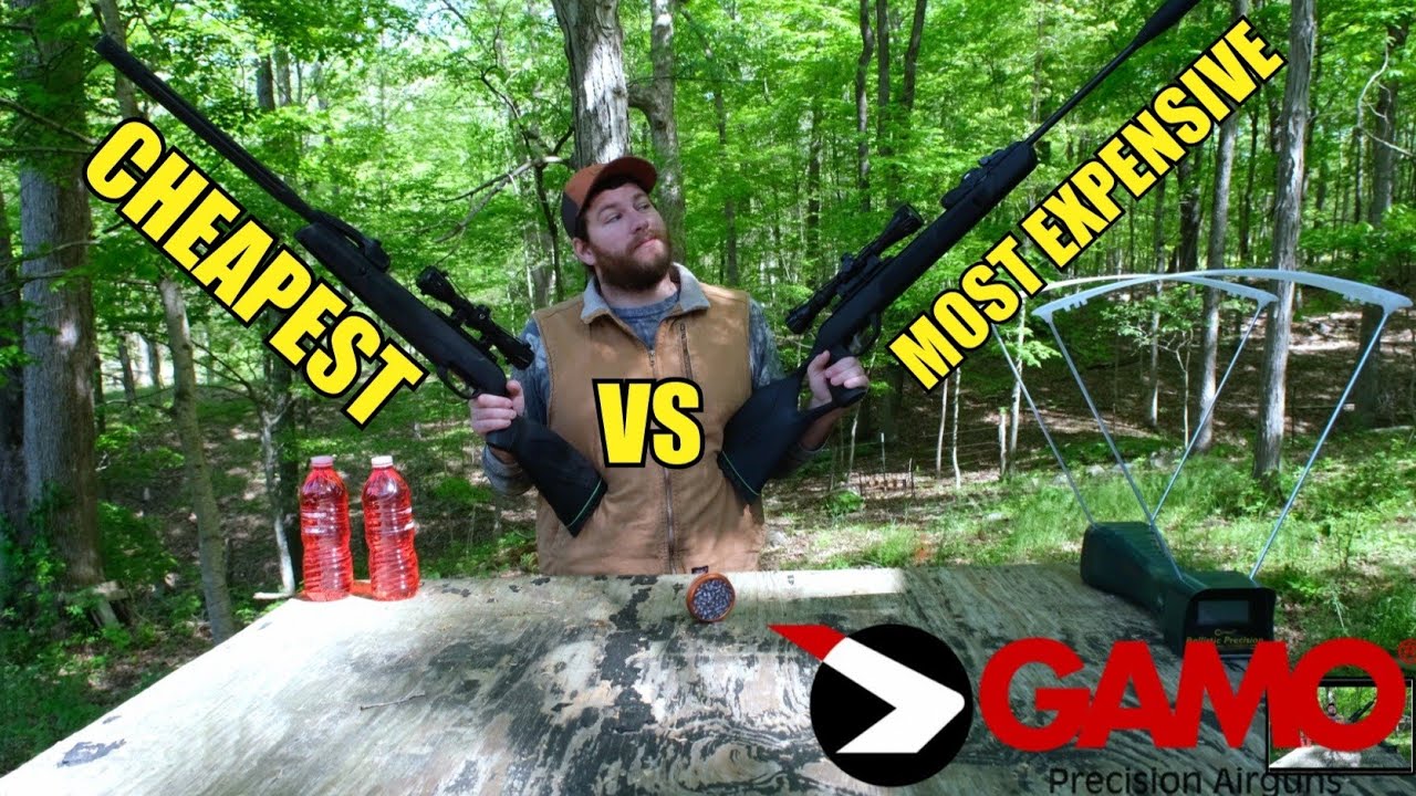 CHEAPEST VS MOST EXPENSIVE GAMO SWARM RIFLE. MAGNUM VS WHISPER