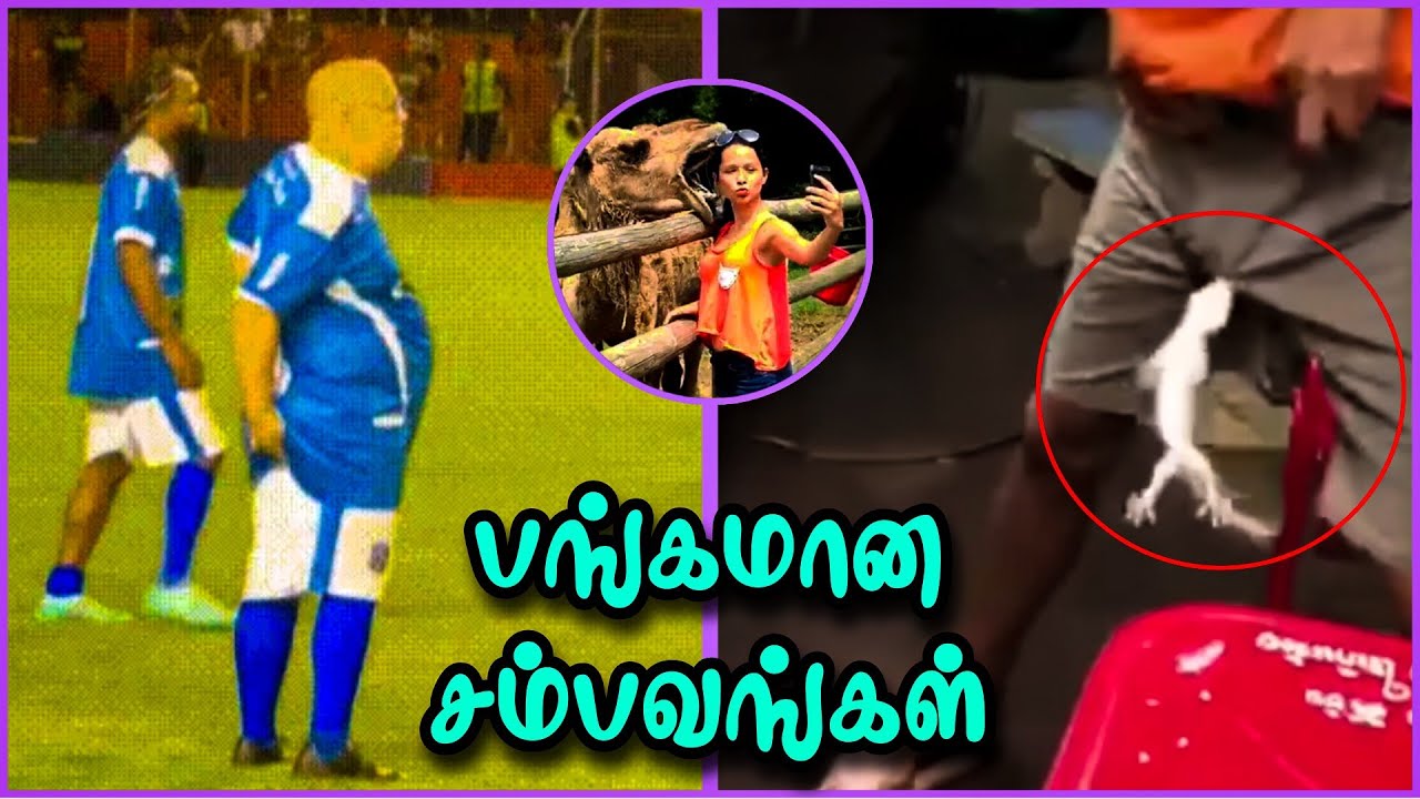 கண்டமான காமெடி சம்பவகள் | Totally Random Videos #14 | The Magnet Family 2.0
