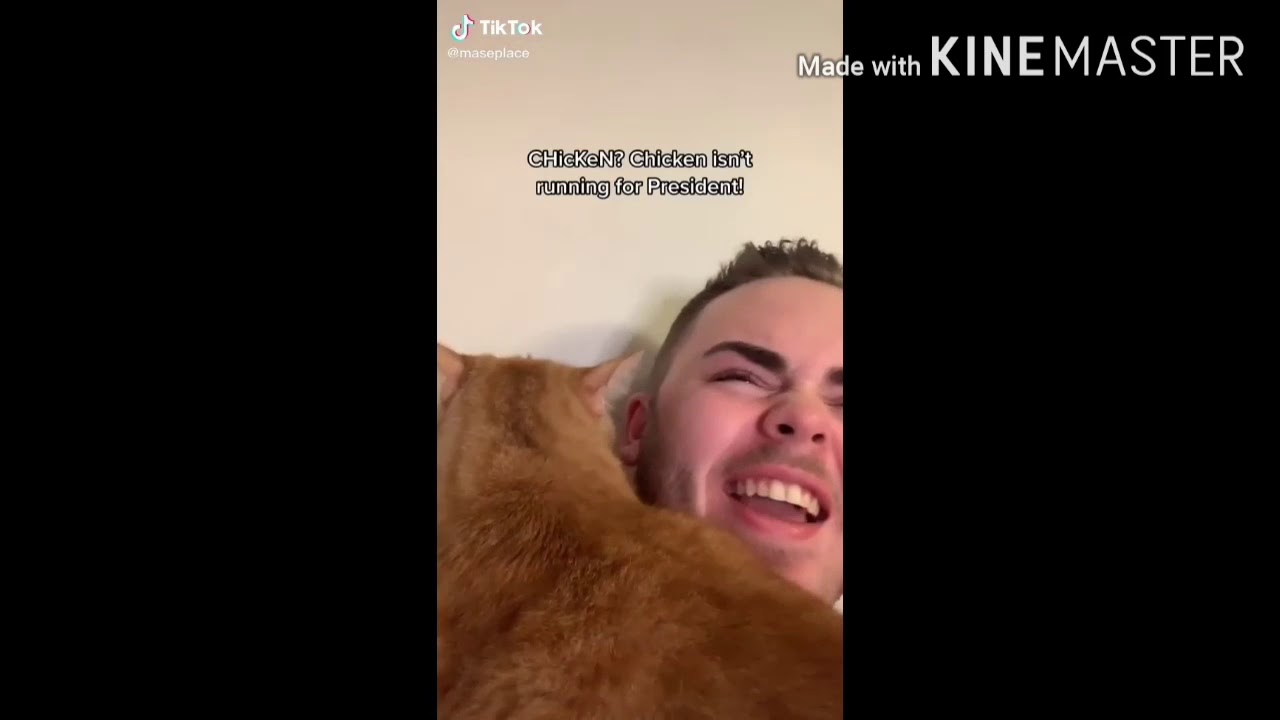 Cooter the cat tiktoks