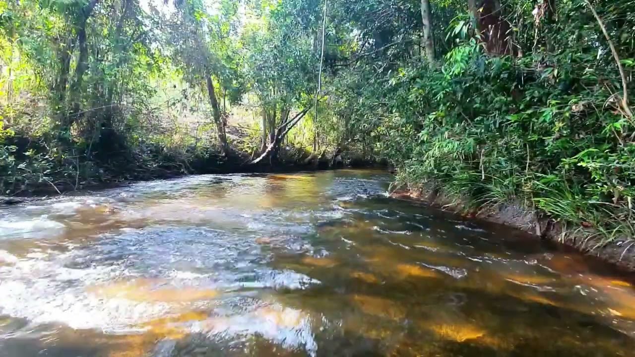 Episode 56: Relax White Noise_ Sound of  Water flowing is Soothing While Sleeping Arorund 3 Hour.😴💤