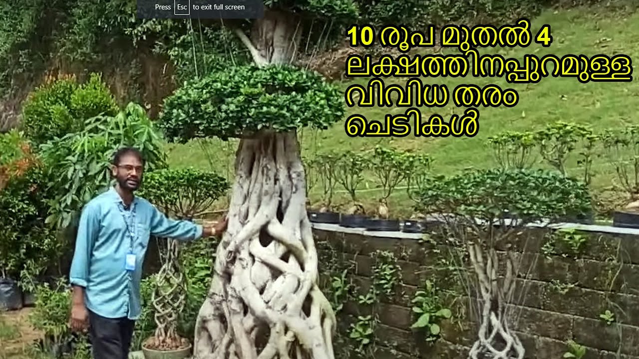 മനോഹരമായ ബോട്ടോണിക്കൽ ഗാർഡൻ | Kuzhipallam Botanical Garden