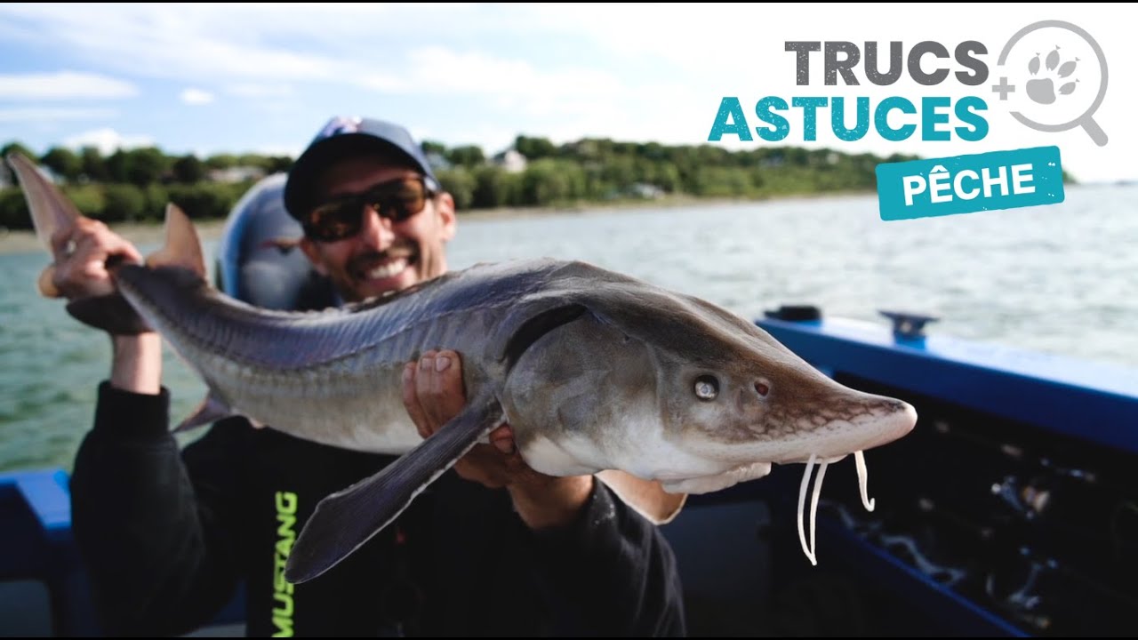 Trucs et Astuces - Montages pour la pêche à l'esturgeon