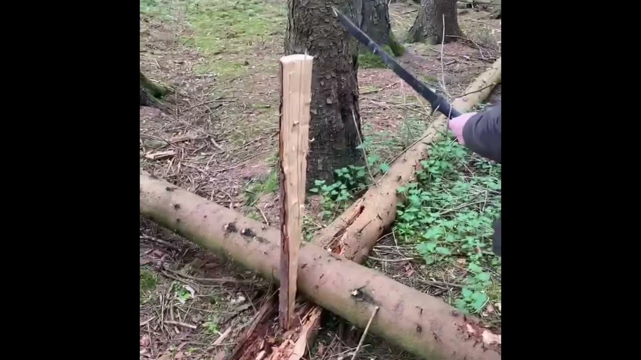 Swamp Rat waki Sword (excuse the bad language)