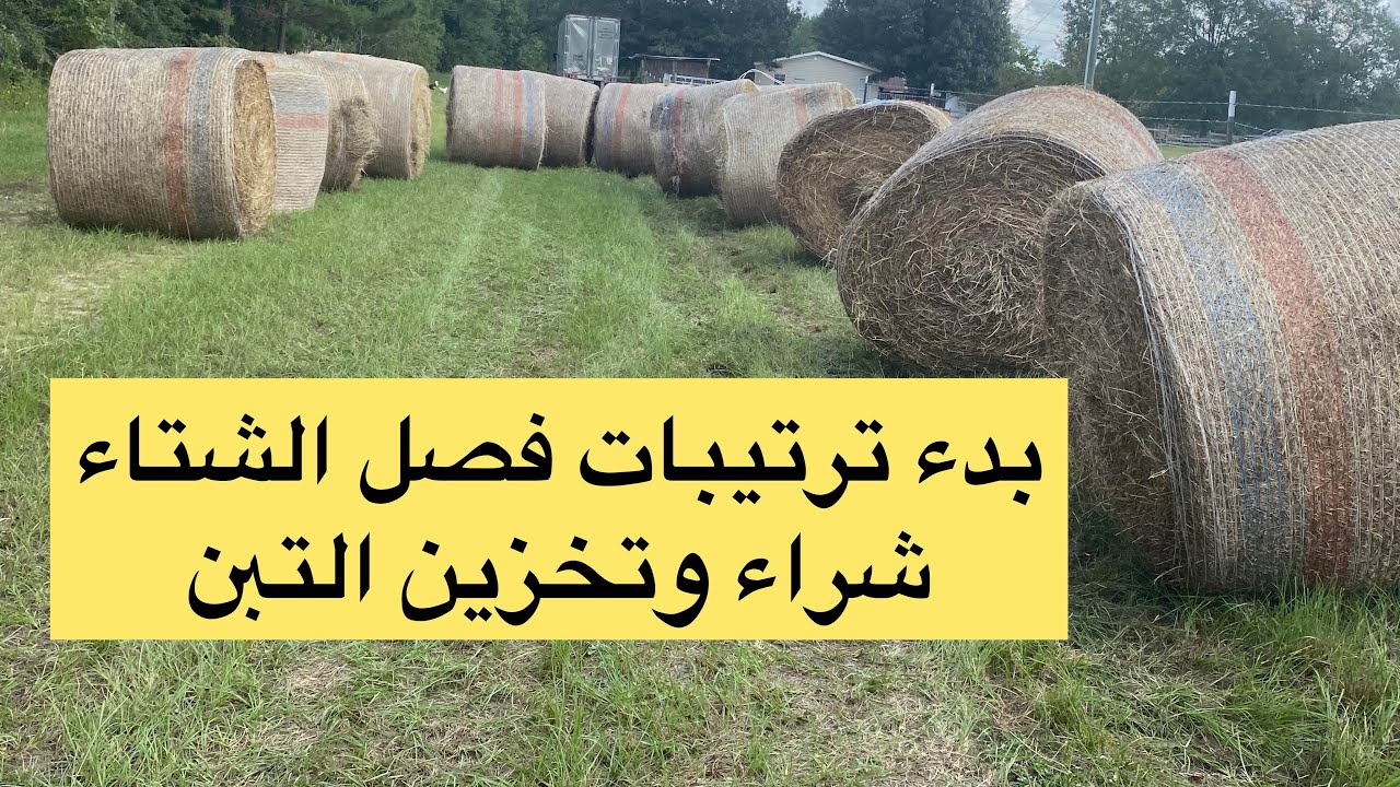 ترتيبات فصل الشتاء بدأت تخزين التبن والفوراج و أنواعه و أثمنثه في أمريكا 🇺🇸 🇺🇸🥹