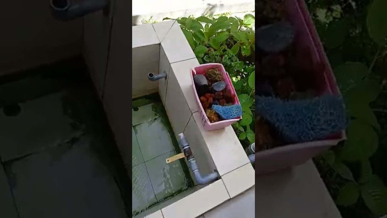 Tanaman &,ternakan keliling rumah yg sempit..