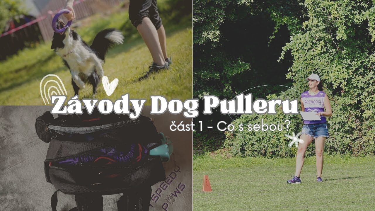 Jedeme na závody Dog Pulleru - co balím, tip navíc
