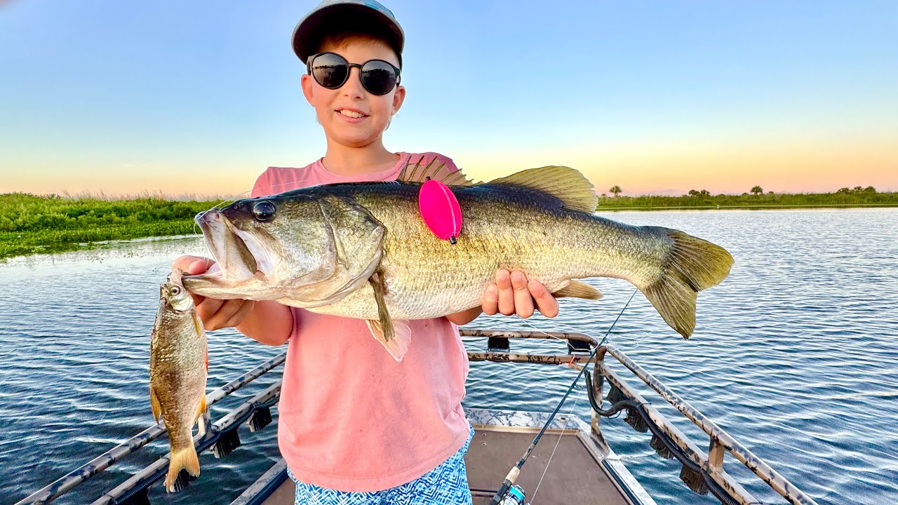 Crazy Expensive Baits , Giant Bass and Really Rare Fish in Our Fish Traps