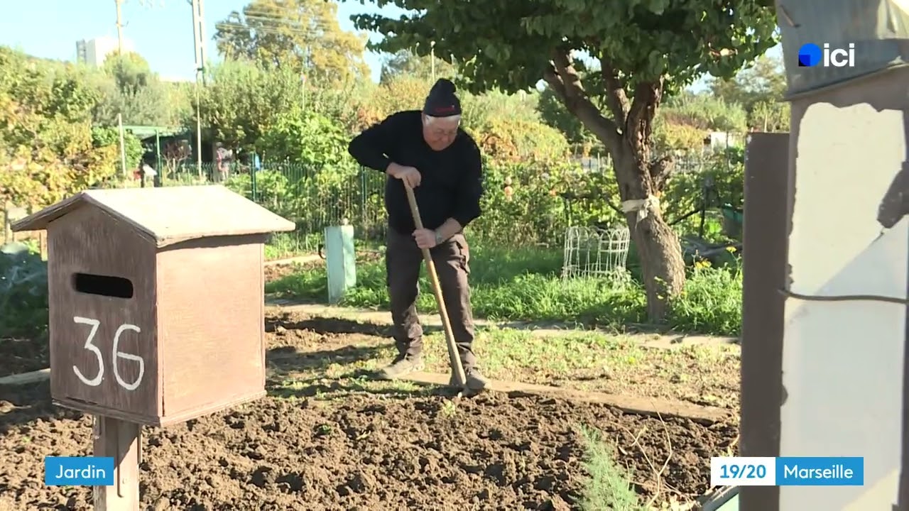 Marseille : dans ces jardins ouvriers, la complicit&eacute; pousse plus vite que les l&eacute;gumes