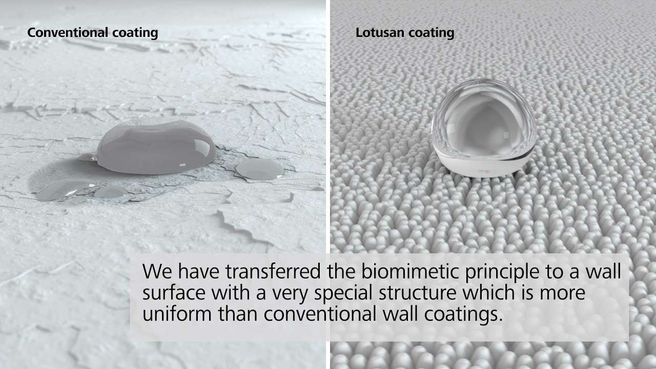 StoLotusan facade paint and StoLotusan render