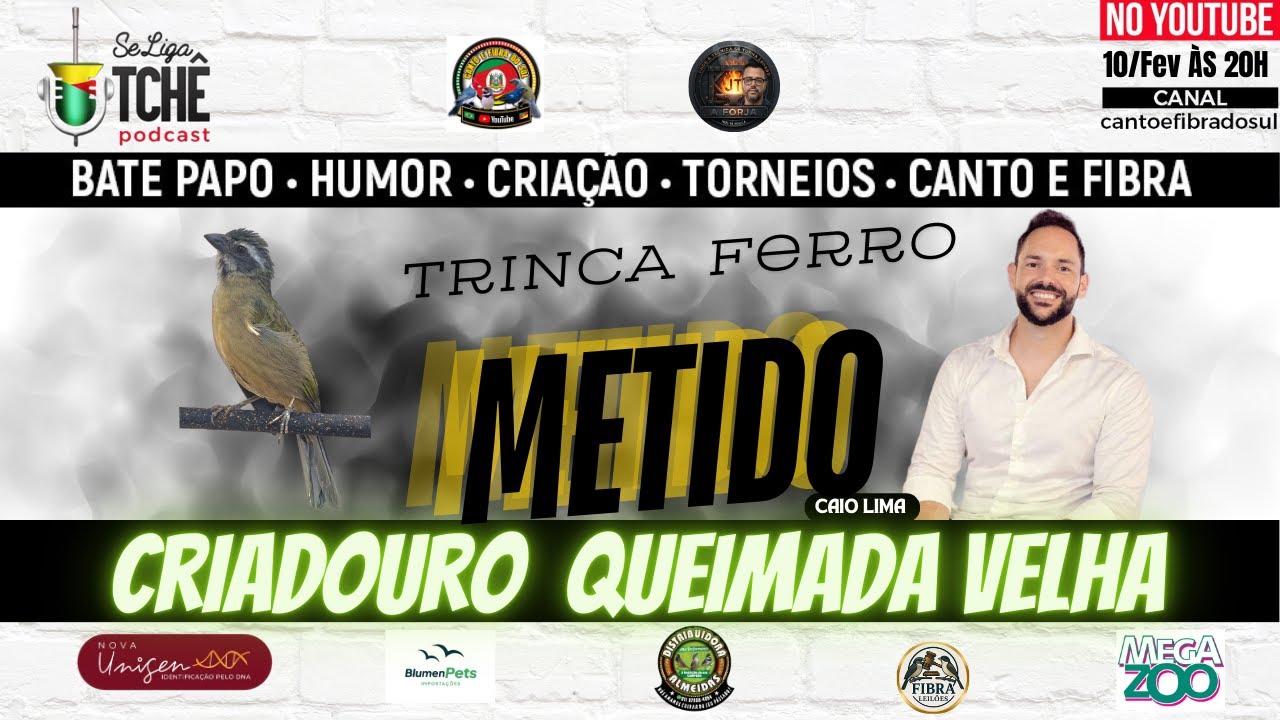 A EVOLUÇÃO DO METIDO: COMO TRANSFORMAR UM PÁSSARO PARADO EM UM CAMPEÃO DE 200 CANTOS! 🏆