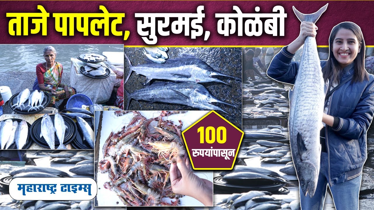 Biggest Fish Market In Mumbai | मुंबईतील सर्वात स्वस्त फिश मार्केट | Sassoon Dock Fish Market